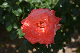 image0179