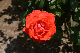 image0180
