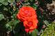 image0181