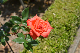 image0182