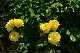 image0184