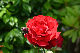 image0186