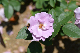 image0187