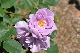 image0188