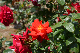 image0192