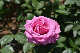 image0193