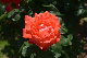 image0196