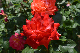 image0197