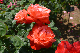 image0198