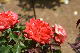 image0200