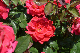 image0201