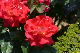 image0202