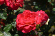 image0203