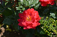 image0204