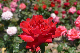 image0210
