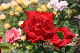 image0211