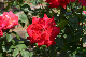 image0212