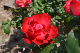 image0213