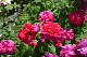 image0216