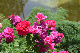 image0219