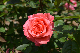 image0220