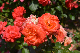 image0222