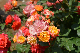 image0228
