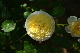 image0230