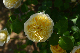 image0231