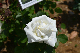 image0232