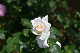 image0235