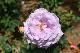 image0236