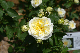 image0240