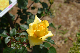 image0243