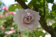 image0254