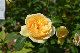 image0256