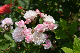 image0261