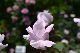 image0269