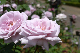 image0270