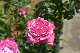 image0275