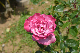 image0276