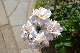 image0278