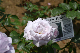 image0283