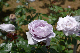 image0284