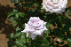image0285