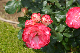 image0314