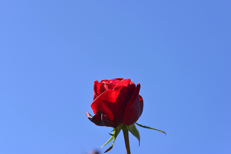 image0087