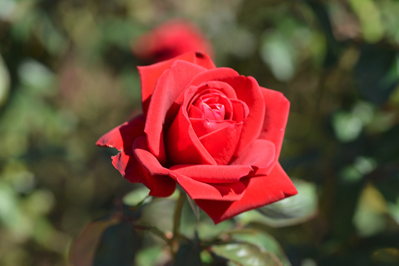 image0097