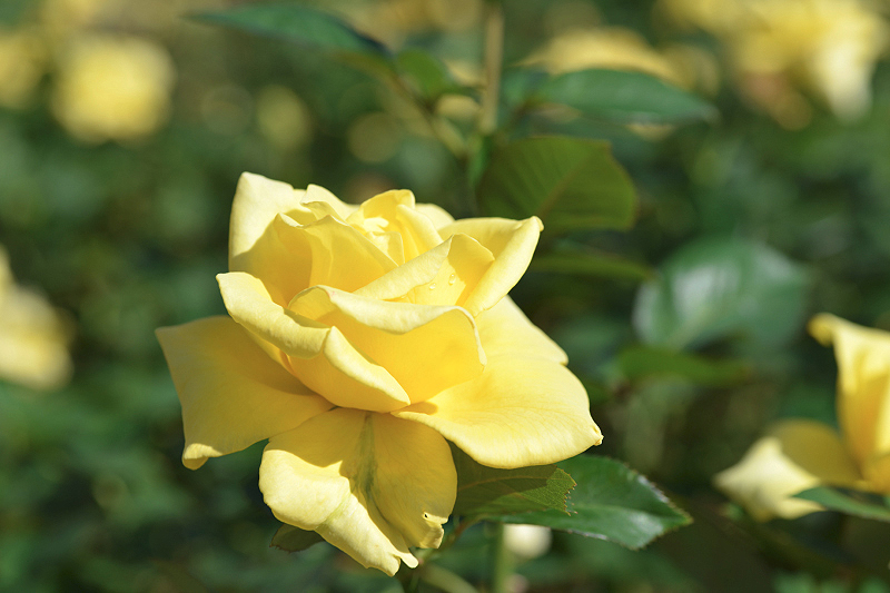 image0099