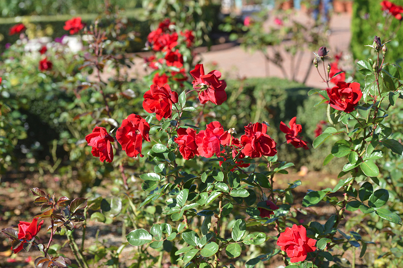 image0101